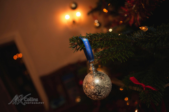 Northcote Manor winter wedding