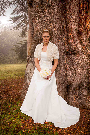 MK Collins Photography Wedding Gallery