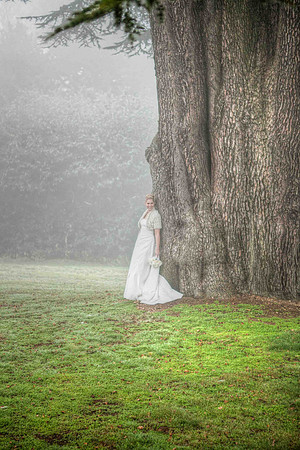 MK Collins Photography Wedding Gallery